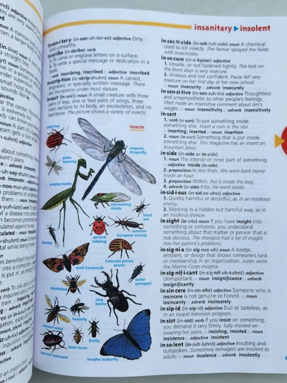 Scholastic Children's Dictionary Hardcover Book Reference Classroom Supplies Sch